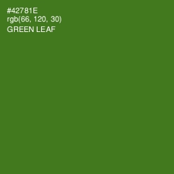 #42781E - Green Leaf Color Image